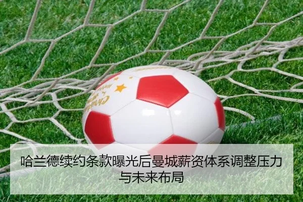 ha-lan-de-xu-yue-tiao-kuan-bao-guang-hou-man-cheng-xin-zi-ti-xi-tiao-zheng-ya-li-yu-wei-lai-bu-ju-2-289.jpg
